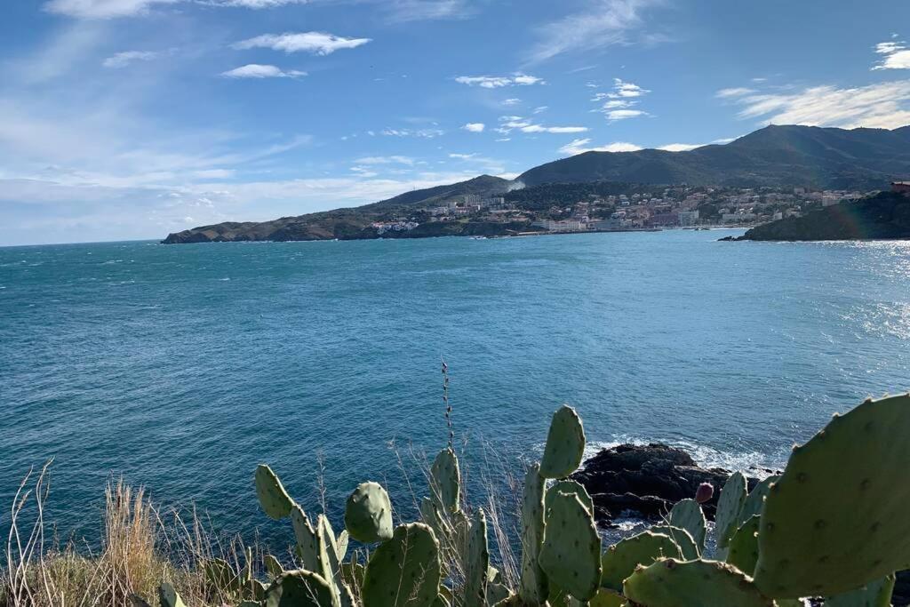 Attique A Banyuls - Vue Mer Et Montagne Exterior foto